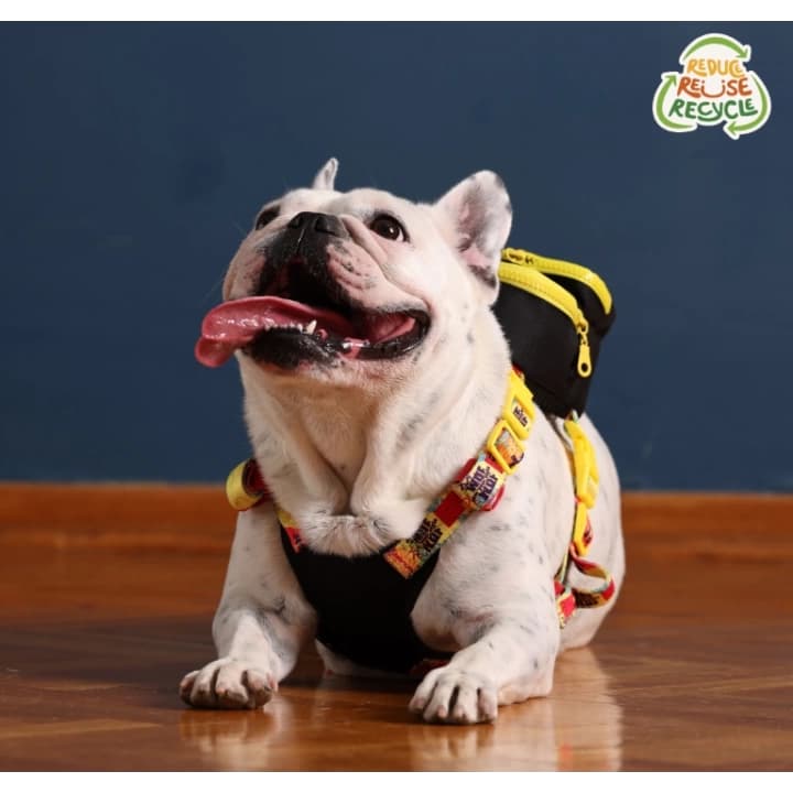 Kedi Köpek Tasmalı Sırt Çantası Küçük Boy