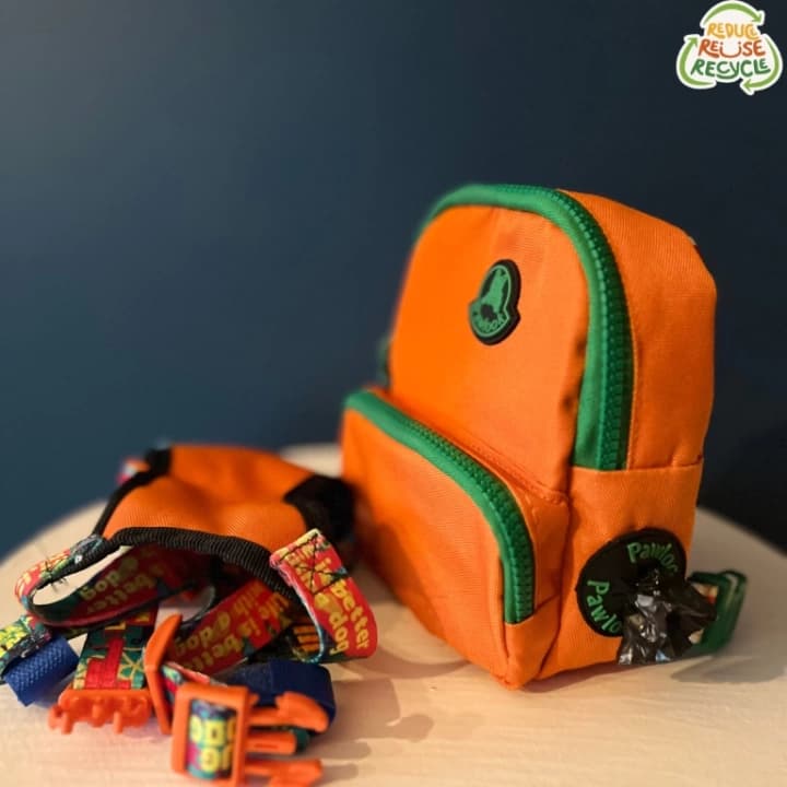 Kedi Köpek Tasmalı Sırt Çantası Standart Boy
