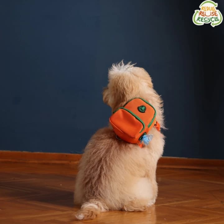 Kedi Köpek Tasmalı Sırt Çantası Standart Boy