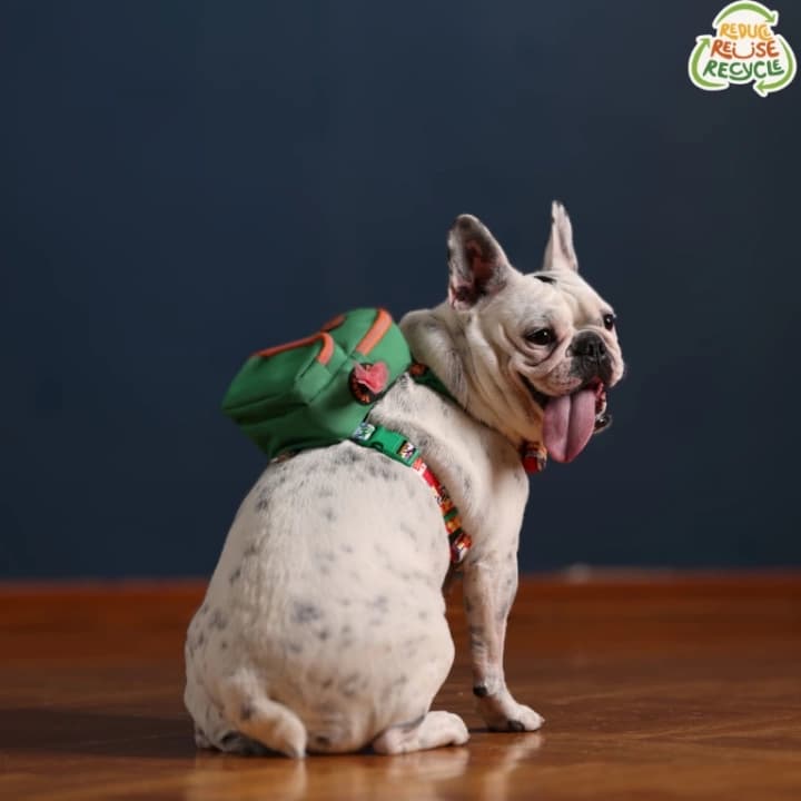 Kedi Köpek Tasmalı Sırt Çantası Küçük Boy