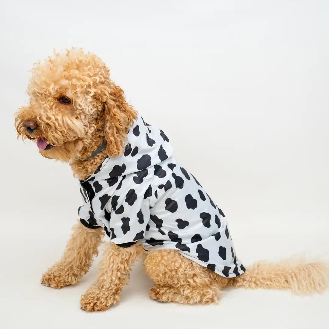 Kedi & Köpek Kıyafeti Yağmurluk - Su Geçirmez Waterproof Kumaş
