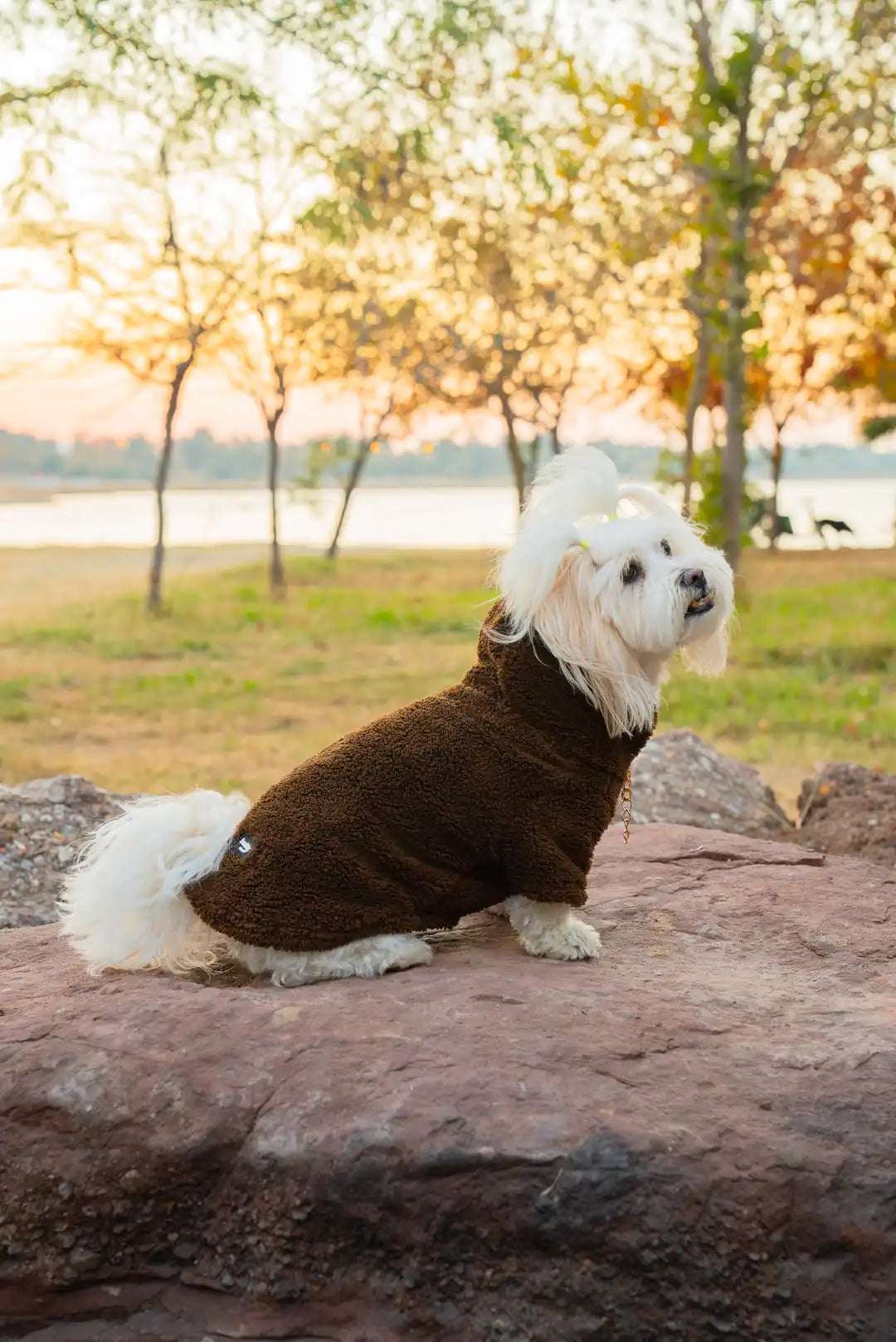 Köpek Kıyafeti Peluş Sweatshirt - Kapüşonlu Koleksiyon