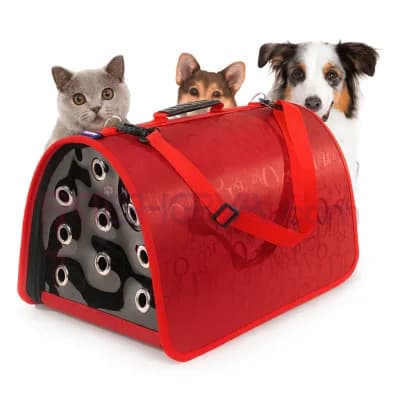 FLYBAG Kapalı Model Kırmızı Taşıma Çantası 44x28x28 cm