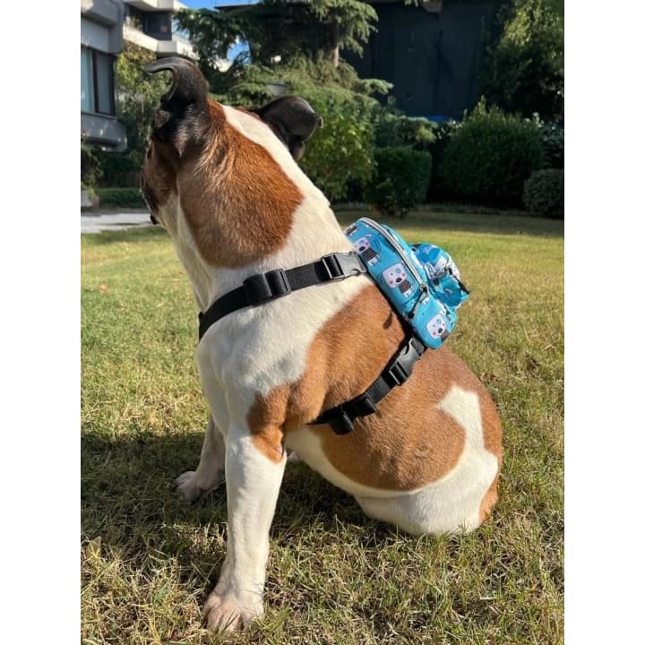 Kedi Köpek Tasmalı Sırt Çantası Standart Boy