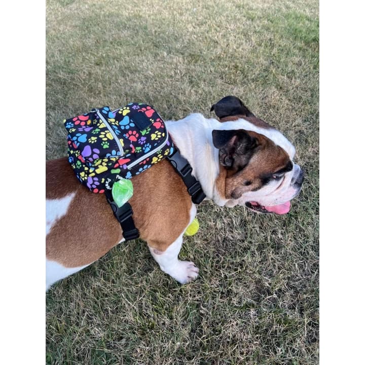 Kedi Köpek Tasmalı Sırt Çantası Küçük Boy