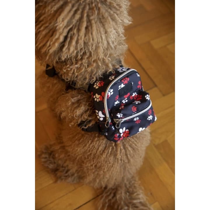 Kedi Köpek Tasmalı Sırt Çantası Standart Boy