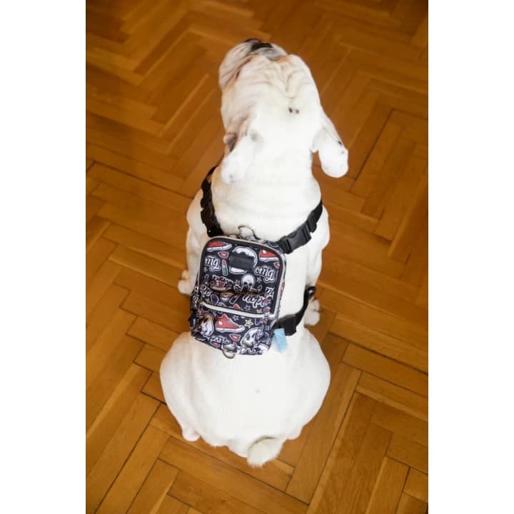 Kedi Köpek Tasmalı Sırt Çantası Standart Boy