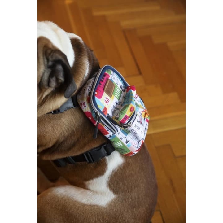 Kedi Köpek Tasmalı Sırt Çantası Standart Boy