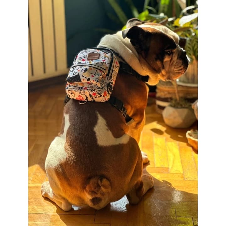 Kedi Köpek Tasmalı Sırt Çantası Küçük Boy