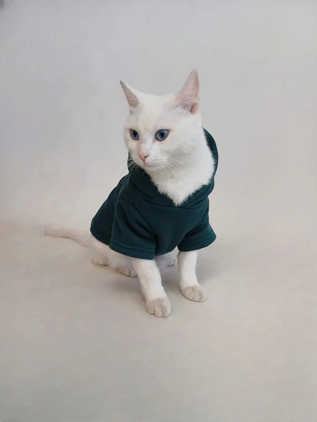 Petrol Yeşil Celtic Baskılı Kedi ve Köpek Sweatshirt Hoodie