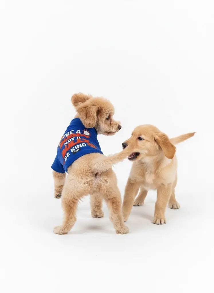 Saks Mavi Hakim Yaka Comfort Fit Köpek Sweat Ceketi (WarmFlex Koleksiyonu)