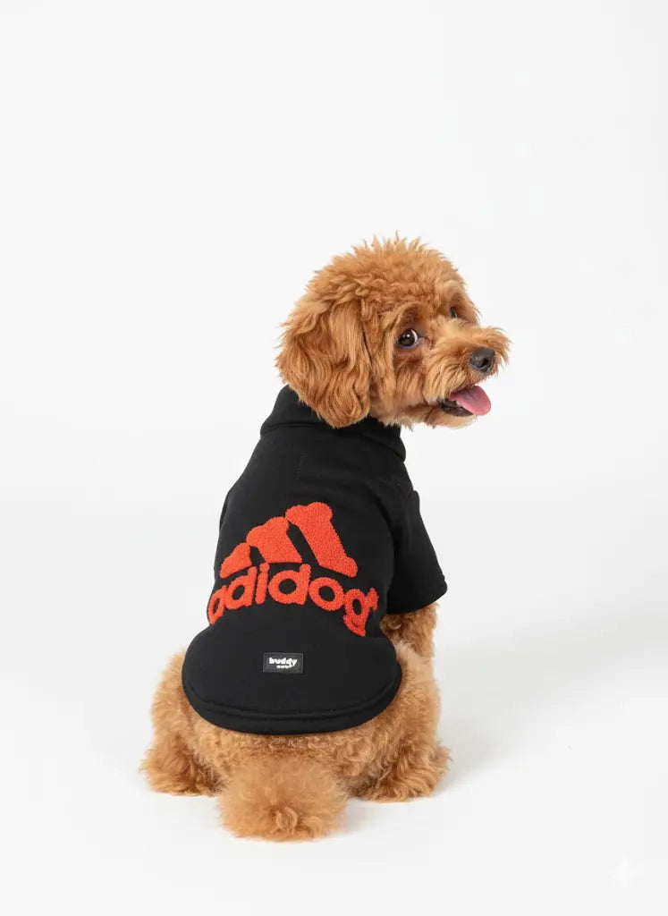 Siyah Hakim Yaka Comfort Fit Köpek Sweat Ceketi (WarmFlex Koleksiyonu)